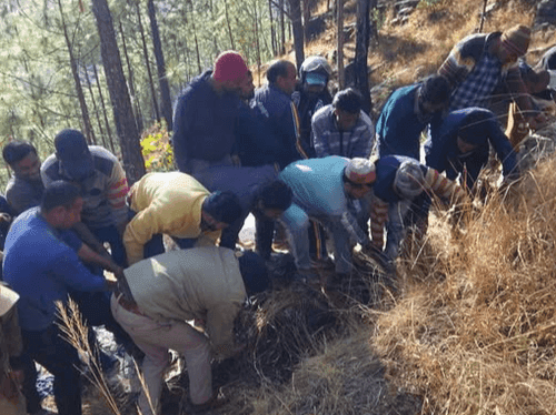 Image for A bull trapped in a 14 feet deep ditch was rescued safely