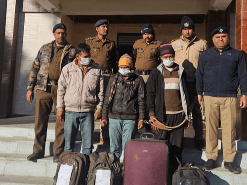 Image for 03 smugglers arrested with illegal marijuana