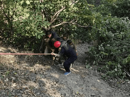 Image for Vehicle fell into the ditch, the injured were taken to the hospital