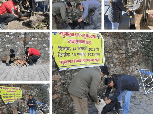 One day vaccination camp organized in Mussoorie