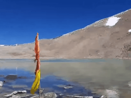 Tourists can now apply online from home