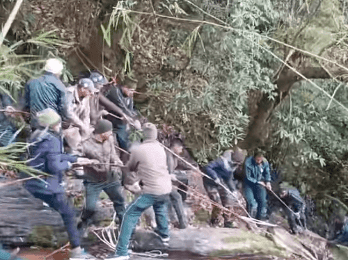 Image for A cow trapped in a 50 meter deep ditch was rescued safely