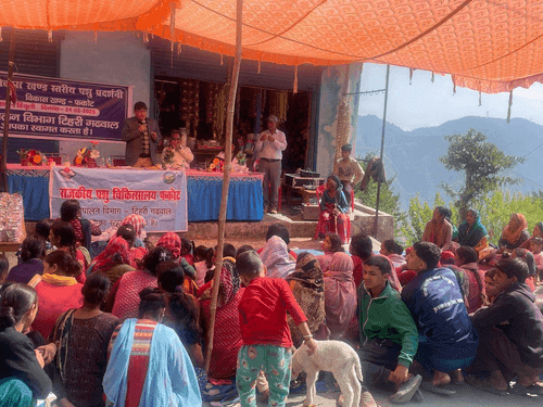 Animal exhibition was organized in village Drauli