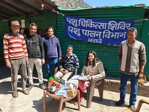 Veterinary camp was organized in Chingri