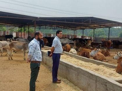 Inspection of Shri Krishna Godham Sheeshambara by Chief Veterinary Officer Dehradun