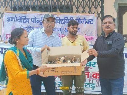 40 cattle breeders benefitted from Mother Poultry Unit