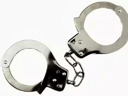 01 accused arrested with 16 bottles of illegal liquor "Haryana Marka" 