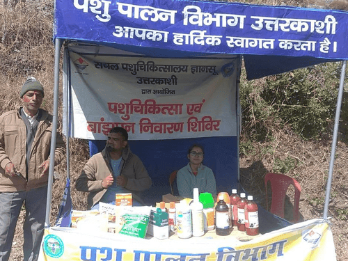 Veterinary camp was organized in village Matholi