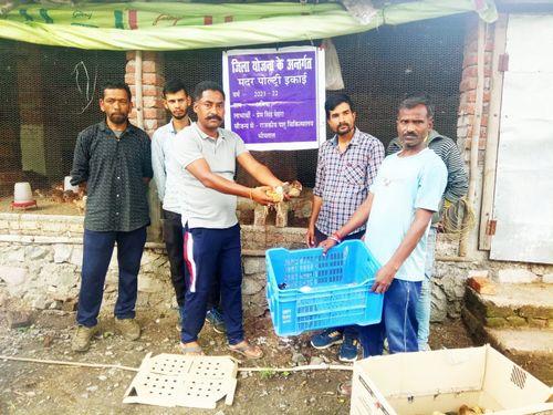 One month's poultry birds were distributed by the Animal Husbandry Department