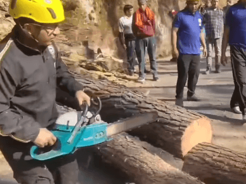 Image for Traffic was restored after removing the tree that had fallen on the road