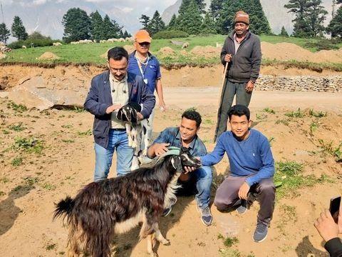 Veterinary and vaccination camp organized in Chhialekh (Dharchula)