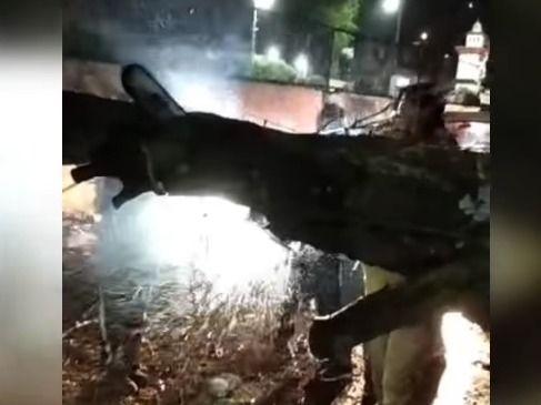 Seeing the people in trouble, the Nainital Police personnel left the stick and took the saw.