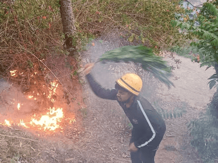 Image for Fire Service Bageshwar controlled the forest fire