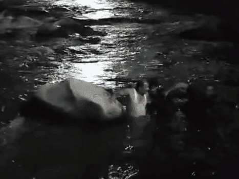 Image for Rudraprayag Police rescued a person trapped in the middle of Mandakini river