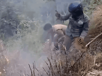 Image for The roadside fire was controlled in time