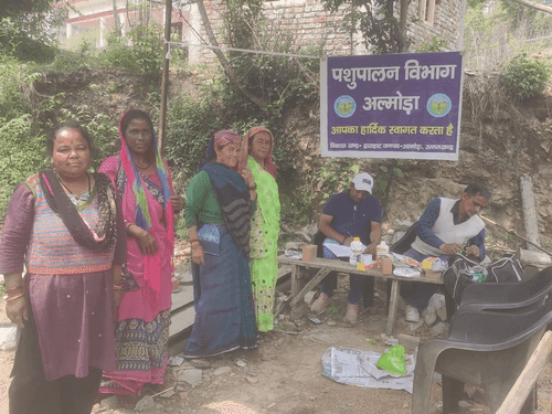 Image for Veterinary camp was organized in village Satinogaon