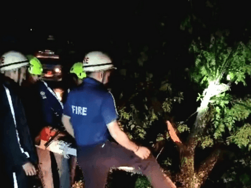 Traffic was restored after removing the tree that had fallen on the road