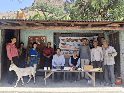 Image for Veterinary Camp held in Pithoragarh's Malla Bhainskot