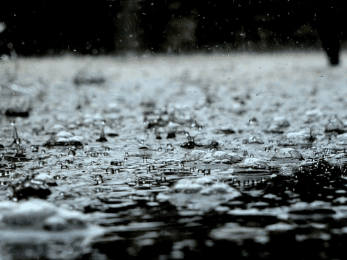 Meteorological Department issues forecast in Uttarakhand