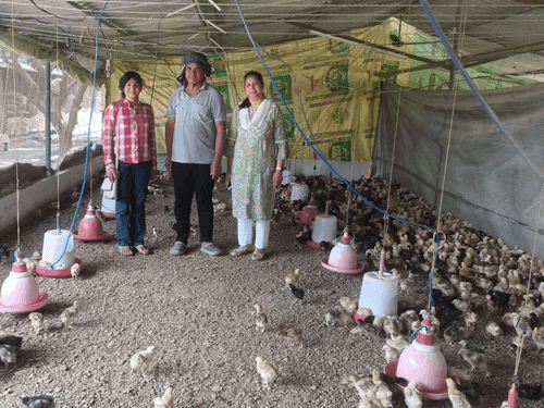Image for Inspection of poultry farms in Kaladhungi under Poultry Valley Scheme