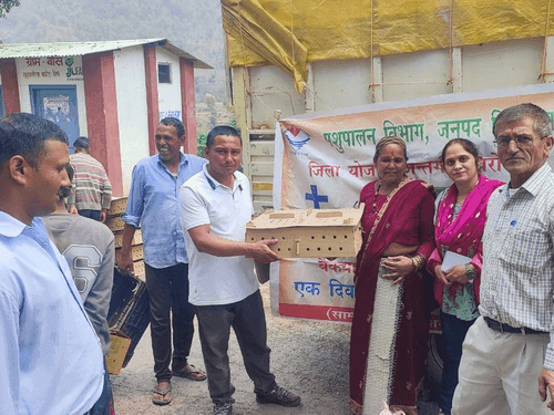 Image for Chicks were distributed to the beneficiaries for livelihood enhancement