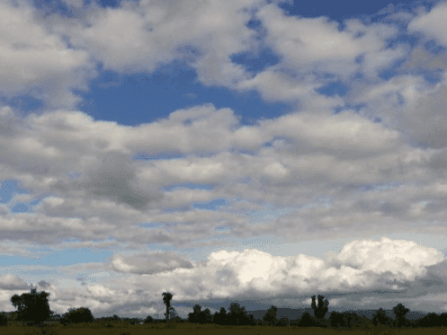 Image for Light rain and strong winds expected today