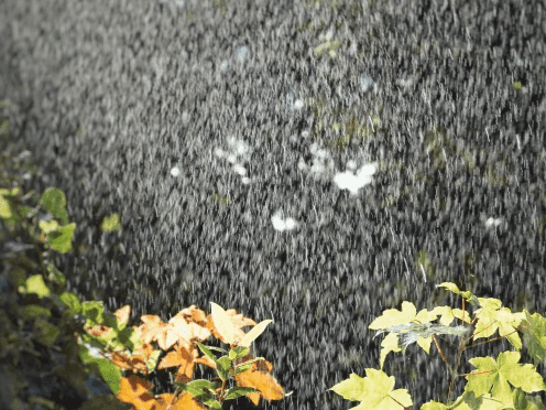 The Meteorological Department has issued a forecast regarding rainfall