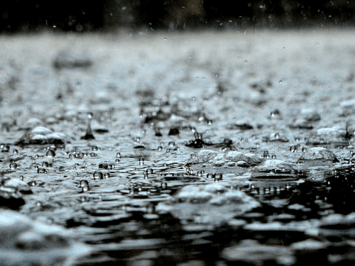 Image for Meteorological Department issues forecast regarding rain