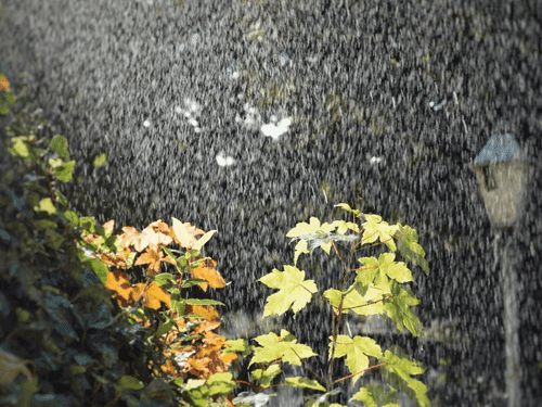 Image for Today's weather in Uttarakhand