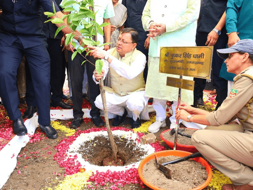 Image for On Harela festival, CM Dhami planted a Rudraksha sapling
