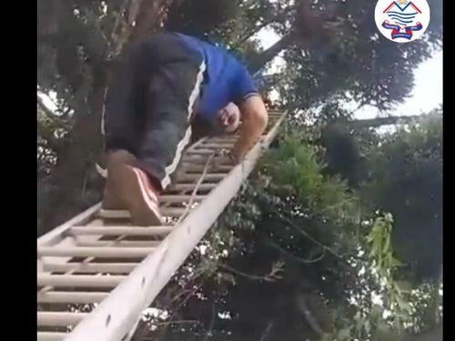Fire service personnel freed the bird trapped in the kite string
