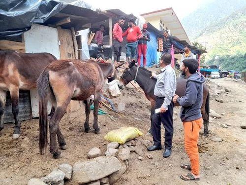 Inspection of works is being done by Chief Veterinary Officer Uttarkashi