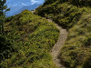 Barakot village in Chamoli, still cut off from road connectivity