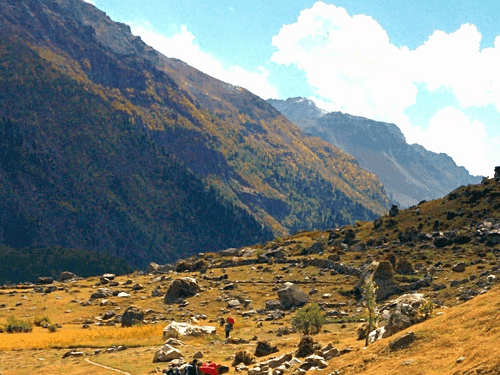 Dehradun youth missing on Madhyamaheshwar Trek, search operation underway