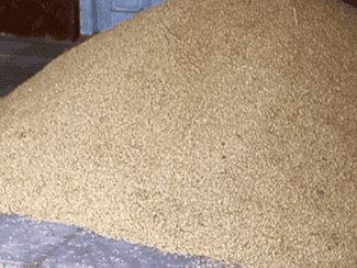 Government ration looted through fake ration cards in Udham Singh Nagar