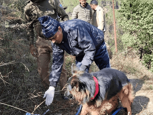 Severed head of newborn found in Chamoli district, police launch investigation
