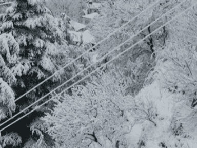 Image for Chances of snowfall in the higher reaches of Uttarakhand