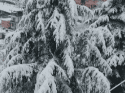 Snowfall likely in Uttarakhand’s hilly regions