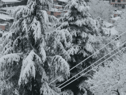 Alert issued for fog, rain, and snowfall in Uttarakhand