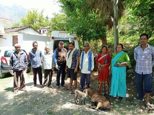 Sachal Veterinary Camp organized in village Upartola/Bhalya