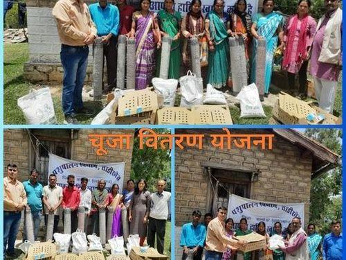 Poultry chicks were distributed for livelihood enhancement