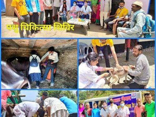 Sachal veterinary camp organized in village Chami