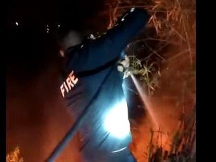 With the promptness of the fire service, the forest fire moving towards the BHEL store in Peepalkoti was extinguished.