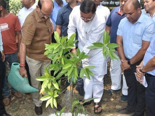 CM Dhami planted saplings on Cantt Road