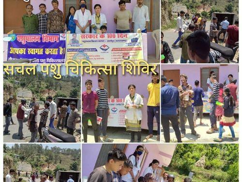 Veterinary camp organized in village-Barghala Lakhnari
