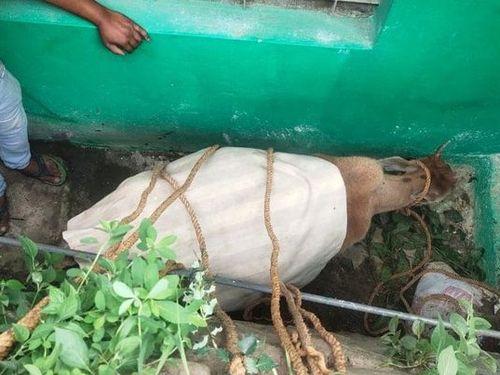 Police personnel proved to be angels for the voiceless