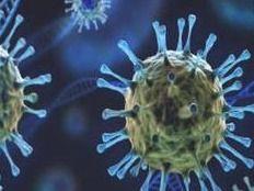 Many police personnel are in the grip of infection
