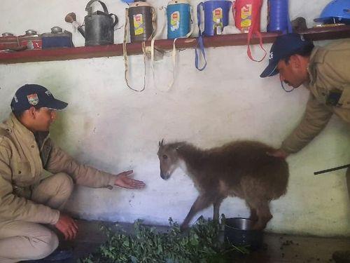 Police are also friends of the voiceless