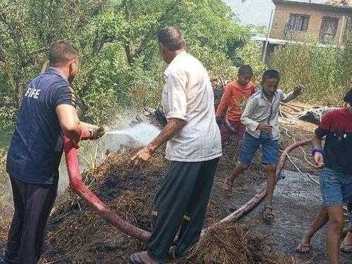 The fire reached the village cowsheds fire unit saved the cattle by extinguishing