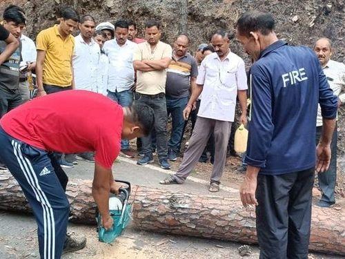 Road blocked due to falling trees on road in Bageshwar